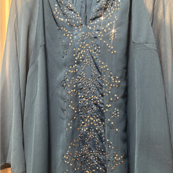 Blue Sheer Women's Top - Picture 3 of 5